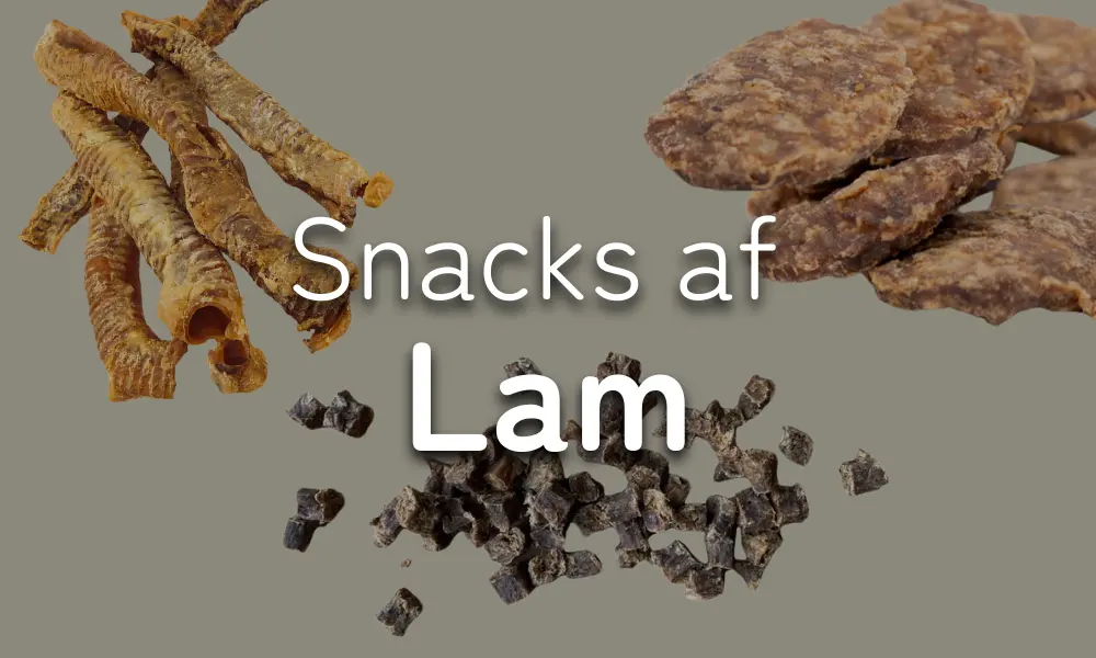 Hundesnacks - snacks til hund af lam